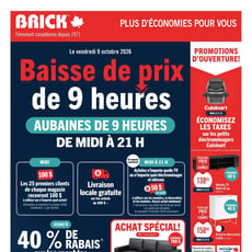 Brick du 8 au 21 octobre 2026