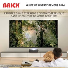  Brick - Guide de Divertissement 2024