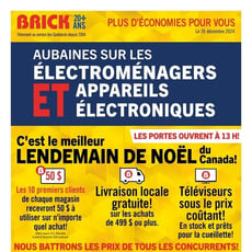  Brick - Vente d'Après-Noël sur Électroménagers et Appareils Électroniques