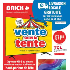  Brick - Vente sous la Tente - Téléviseurs