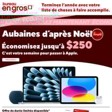  Bureau en Gros - Aubaines d'Après Noël