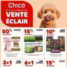  Chico Boutique d'Animaux