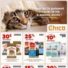  Chico Boutique d'Animaux