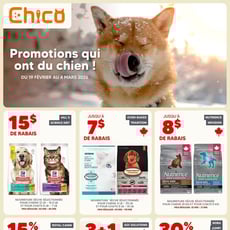  Chico Boutique d'Animaux