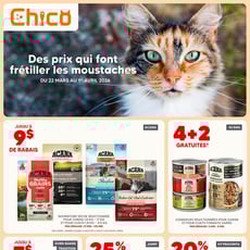  Chico Boutique d'Animaux