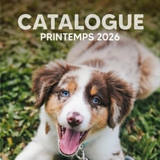  Chico Boutique d'Animaux - Catalogue Printemps 2026