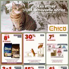  Chico Boutique d'Animaux