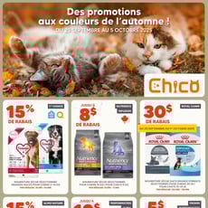  Chico Boutique d'Animaux