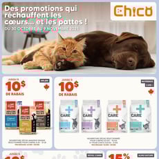  Chico Boutique d'Animaux