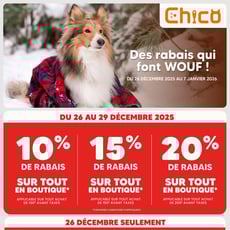  Chico Boutique d'Animaux