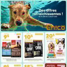  Chico Boutique d'Animaux