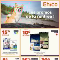  Chico Boutique d'Animaux