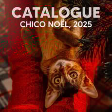  Chico Boutique d'Animaux - Noël 2025