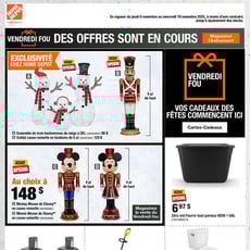  Home Depot - Vendredi Fou