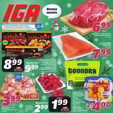  IGA