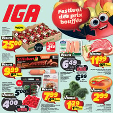  IGA