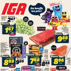  IGA