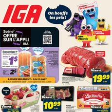  IGA