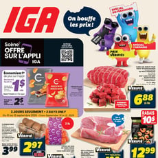  IGA