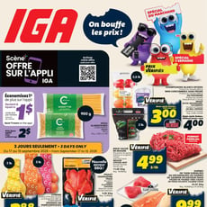  IGA