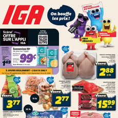  IGA