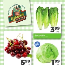  Jardin Mobile