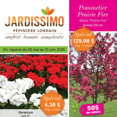  Jardissimo