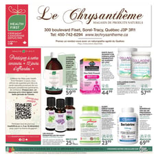  Le Chrysanthème
