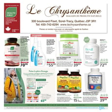  Le Chrysanthème