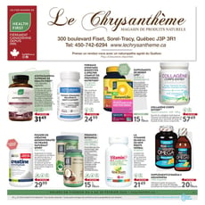 Le Chrysanthème