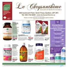  Le Chrysanthème