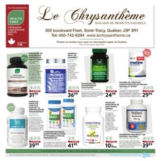  Le Chrysanthème