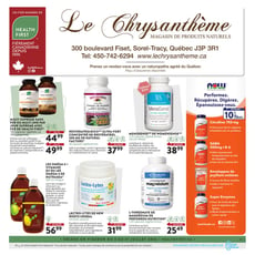  Le Chrysanthème