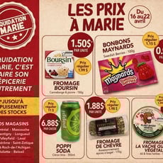  Liquidation Marie