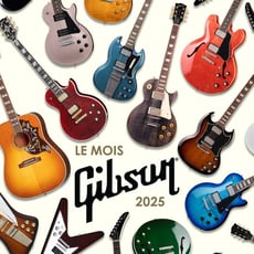  Long & McQuade Instruments de Musique