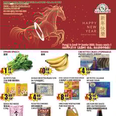  Marché Newon Centre-Ville