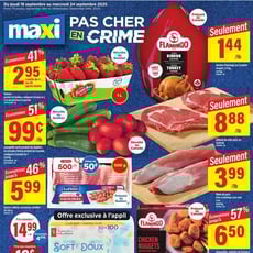  Maxi