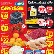  Maxi