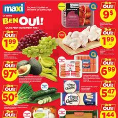  Maxi