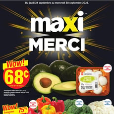  Maxi