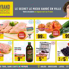  Mayrand