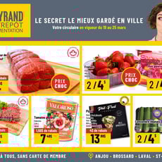  Mayrand