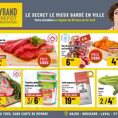  Mayrand
