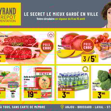  Mayrand