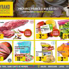  Mayrand