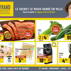  Mayrand