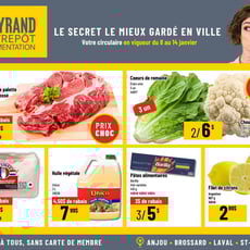  Mayrand