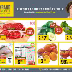 Mayrand