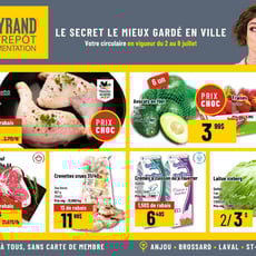  Mayrand