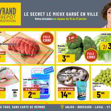  Mayrand